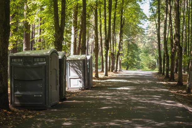 Portable Toilet Options We Offer in Taylor, AZ